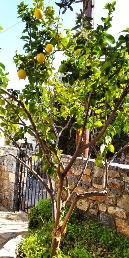 Traditional House In Elounda Luaran gambar